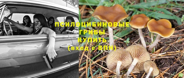 герыч Абаза