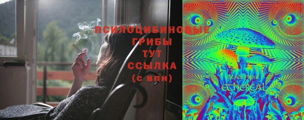 герыч Абаза