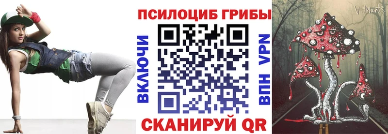 Псилоцибиновые грибы Psilocybine cubensis  Агрыз 