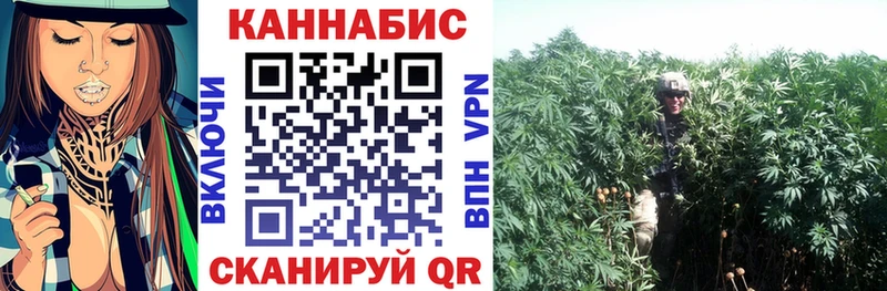 МАРИХУАНА OG Kush  купить   Агрыз 